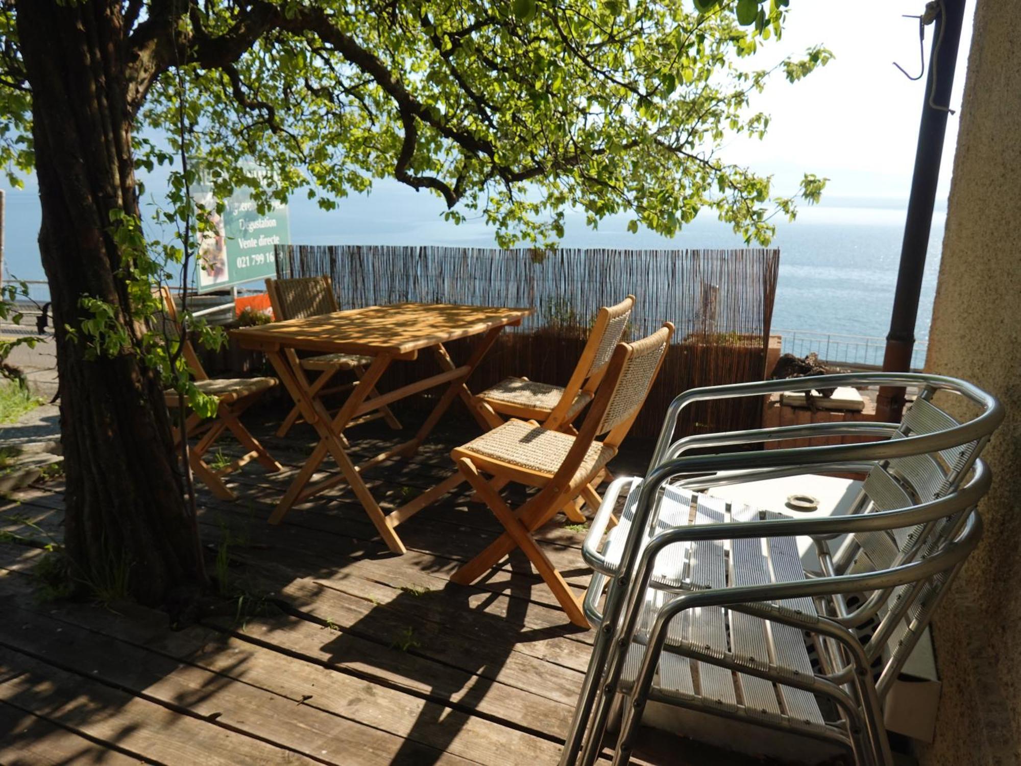 La Capite - Domaine De Calamin Holiday home Cully